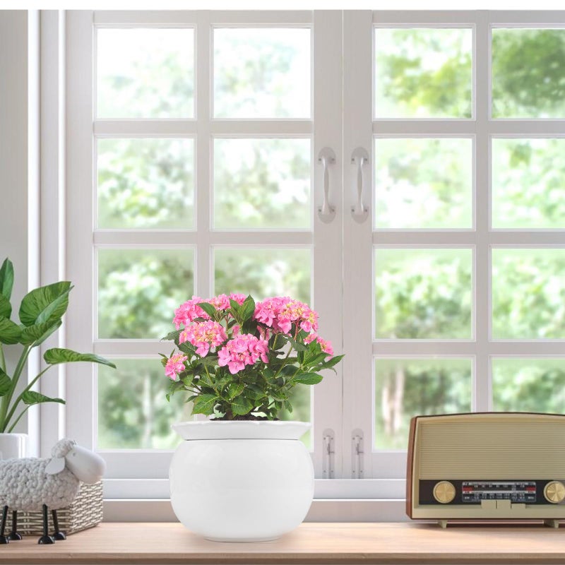 BUYMAX African Violet Pots  6 inch Ceramic Easy Self Watering Plant Pot for Busy Plant Lovers  Automatically Absorb Appropriate Amount of Water  Flower Pot Indoor-Plants Not Included - Image 5